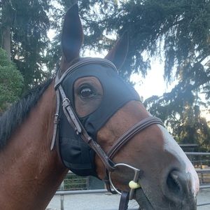 Fenwick Liquid Titanium Mask